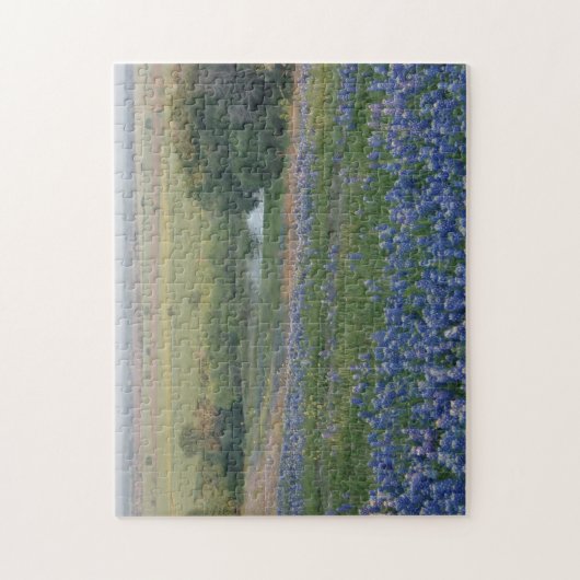 TexasBluebonnets Puzzle (Vertikal)