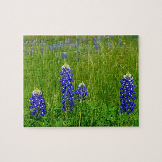 TexasBluebonnets Puzzle (Horizontal)