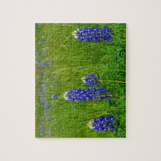 TexasBluebonnets Puzzle (Vertikal)
