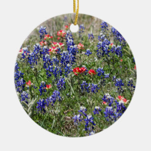 TexasBluebonnets u. indischer Keramikornament