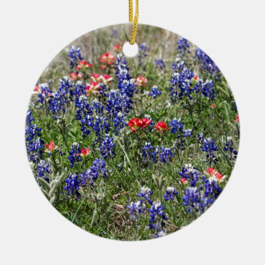 TexasBluebonnets u. indischer Keramikornament (Vorne)