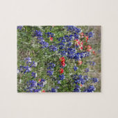 TexasBluebonnets u. indischer Puzzle (Horizontal)