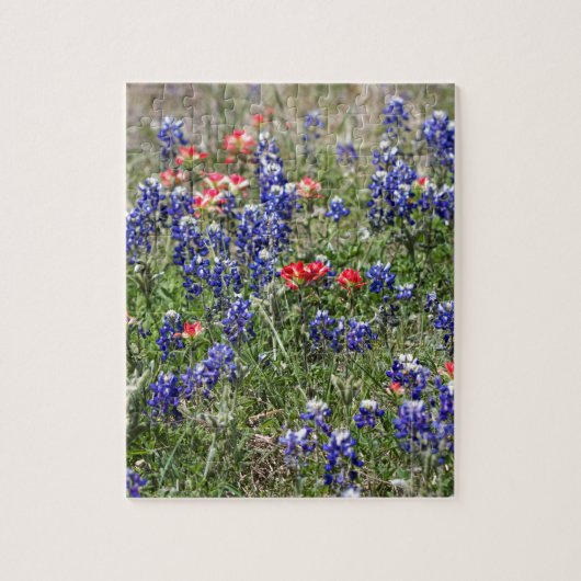 TexasBluebonnets u. indischer Puzzle (Vertikal)