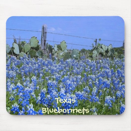 TexasBluebonnets u. -kaktus am Bauernhof Mousepad (Vorne)