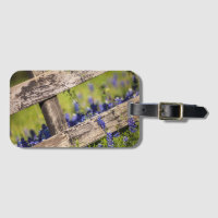 TexasBluebonnets um einen Land-Zaun