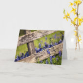 TexasBluebonnets um einen Land-Zaun Karte (Gelbe Blume)