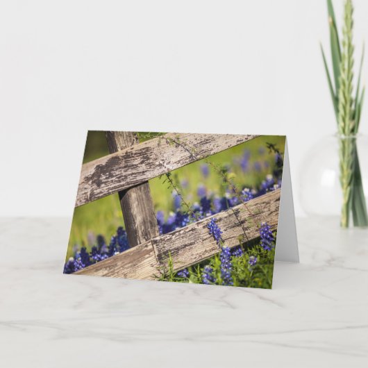 TexasBluebonnets um einen Land-Zaun Karte (Vorderseite)