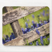 TexasBluebonnets um einen Land-Zaun Mousepad (Vorne)