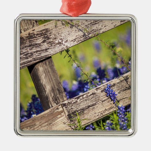 TexasBluebonnets um einen Land-Zaun Ornament Aus Metall (Vorne)