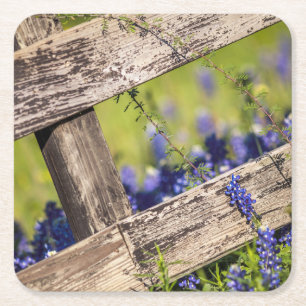 TexasBluebonnets um einen Land-Zaun Rechteckiger Pappuntersetzer