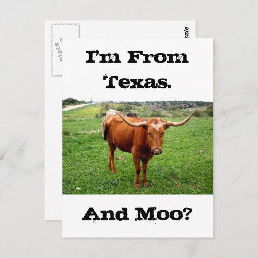 TexasLonghorn mit lustigem Texas-Sprichwort Postkarte (Vorne/Hinten)