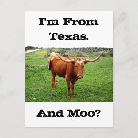 TexasLonghorn mit lustigem Texas-Sprichwort Postkarte (Vorderseite)