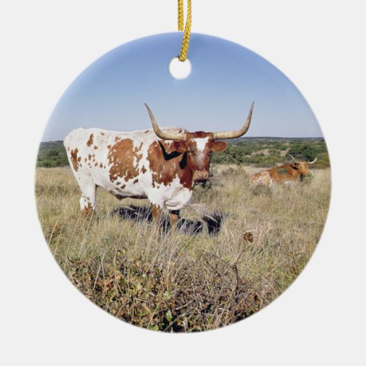 Texaslonghorn-Zucht (Foto) Keramik Ornament (Vorne)