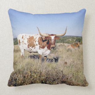 Texaslonghorn-Zucht (Foto) Kissen