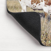 Texaslonghorn-Zucht (Foto) Mousepad (Ecke)