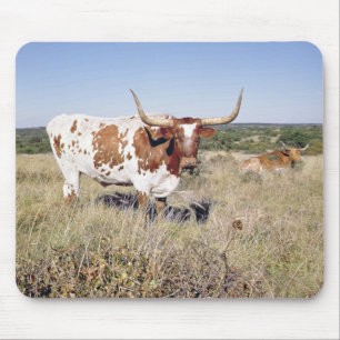Texaslonghorn-Zucht (Foto) Mousepad