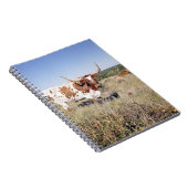 Texaslonghorn-Zucht (Foto) Notizblock (Rechte Seite)