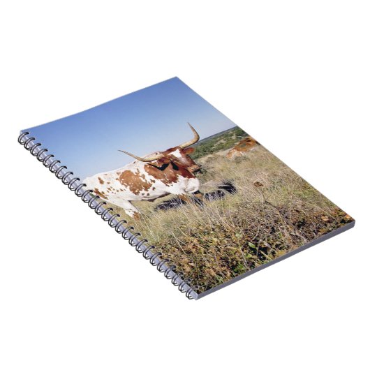 Texaslonghorn-Zucht (Foto) Notizblock (Rechte Seite)