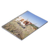 Texaslonghorn-Zucht (Foto) Notizblock (Linke Seite)