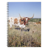 Texaslonghorn-Zucht (Foto) Notizblock (Vorderseite)