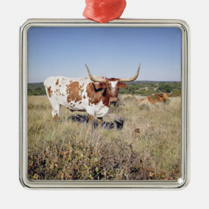 Texaslonghorn-Zucht (Foto) Ornament Aus Metall
