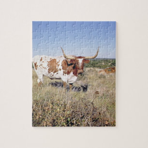 Texaslonghorn-Zucht (Foto) Puzzle