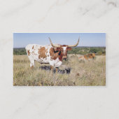 Texaslonghorn-Zucht (Foto) Visitenkarte (Rückseite)