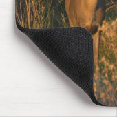 TexasWhitetails Mousepad (Ecke)