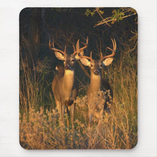 TexasWhitetails Mousepad (Vorne)