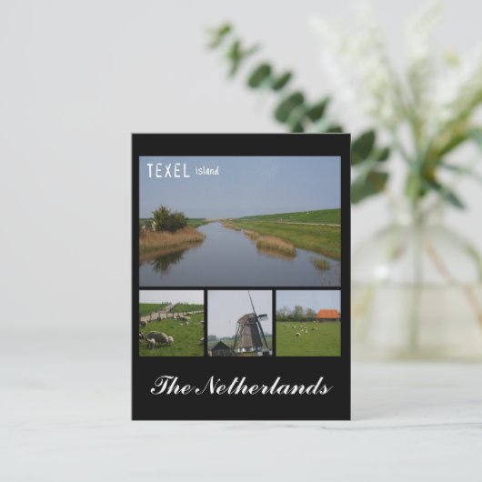 Texel Island Postkarte (Stehend Vorderseite)