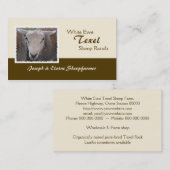 Texel Schaf-Visitenkarte Visitenkarte (Vorne/Hinten)