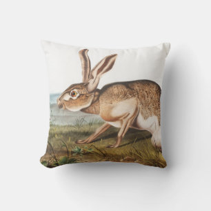 Texian-Hase (Lepus Texianus) Kaninchen-Illustratio Kissen