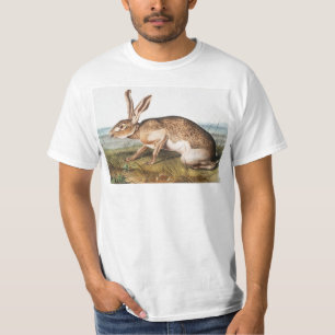 Texian-Hase (Lepus Texianus) Kaninchen-Illustratio T-Shirt