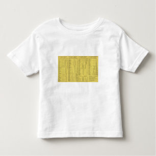 Text Page Pittsburgh und Western Railway Company Kleinkind T-shirt