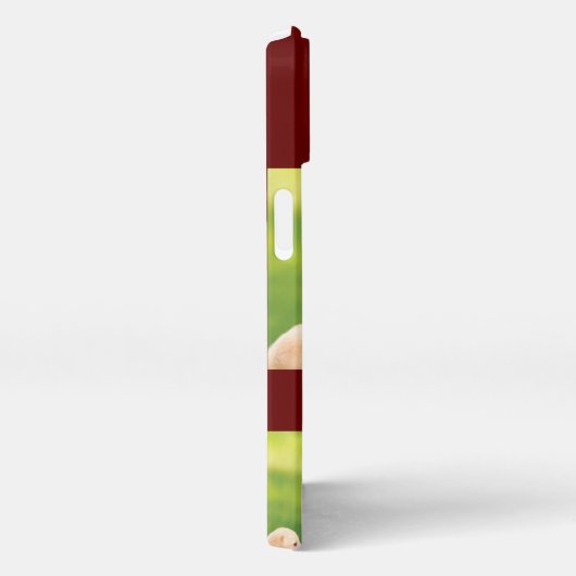 Text und Fotos durch eigene iPhone Hülle (Rechte Seite)