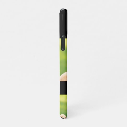 Text und Fotos durch eigene iPhone Hülle (Rechte Seite)