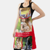 Text und Fotos durch eigene Schürze (InSitu)