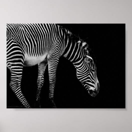 Textausdruck Poster (Vorne)