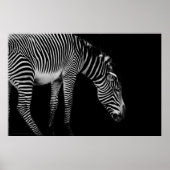 Textausdruck Poster (Vorne)