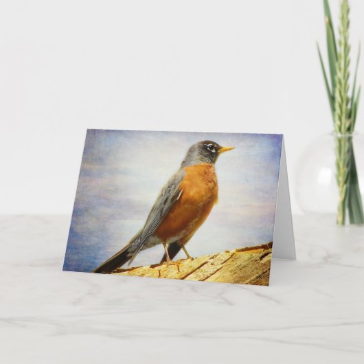 Texted American Robin Greeting Card Karte (Vorderseite)