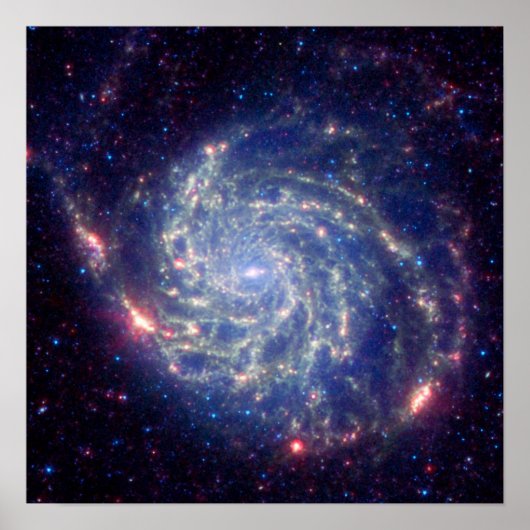 Textfeld1 Poster (Vorne)