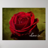 Textierte Rote Rose Poster drucken (Vorne)