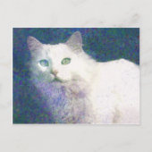 Textil-weiße Katze Postkarte (Vorderseite)