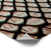 Textur aus Hautschleid,Krokodil,l Poster (Ecke)