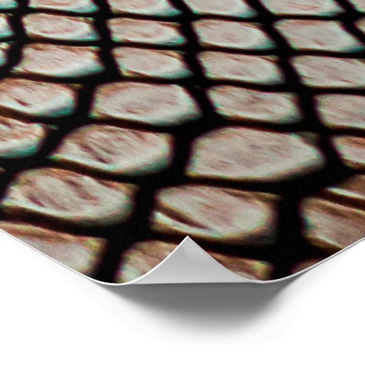 Textur aus Hautschleid,Krokodil,l Poster (Ecke)