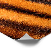 Textur des Tigers Poster (Ecke)