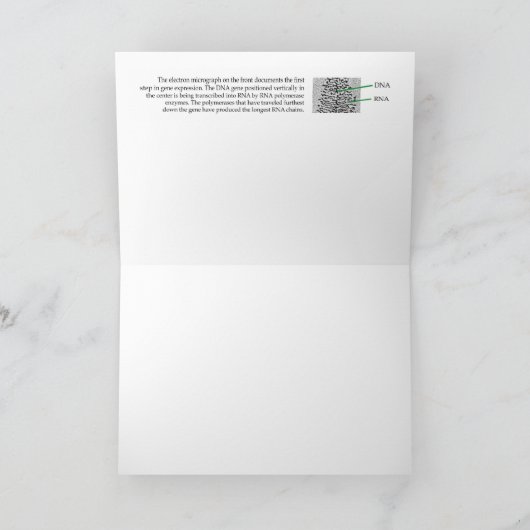 Textur Feiertagskarte (Innenseite)