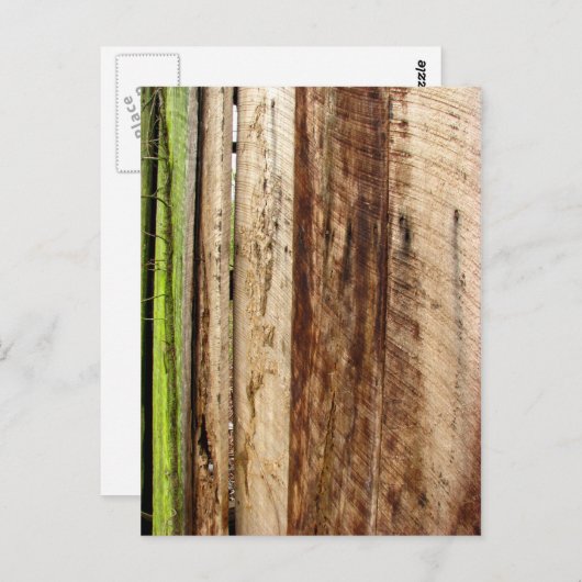 Textur Postkarte (Vorne/Hinten)