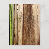 Textur Postkarte (Vorderseite)