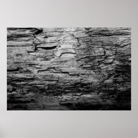 Textur schwarz-weißer Holzbaum Poster (Vorne)